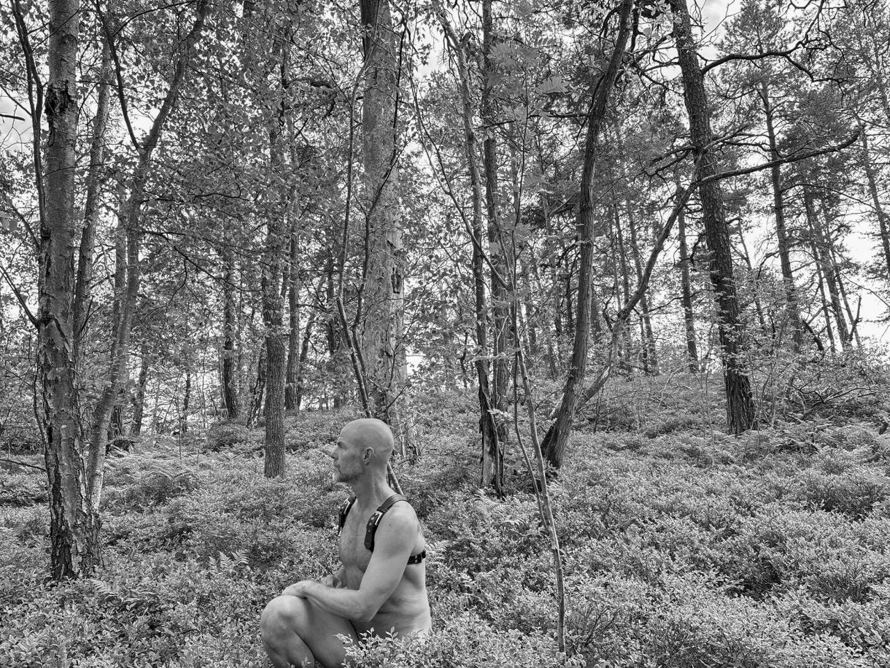 Anders Frisk from Stockholm — nude & free