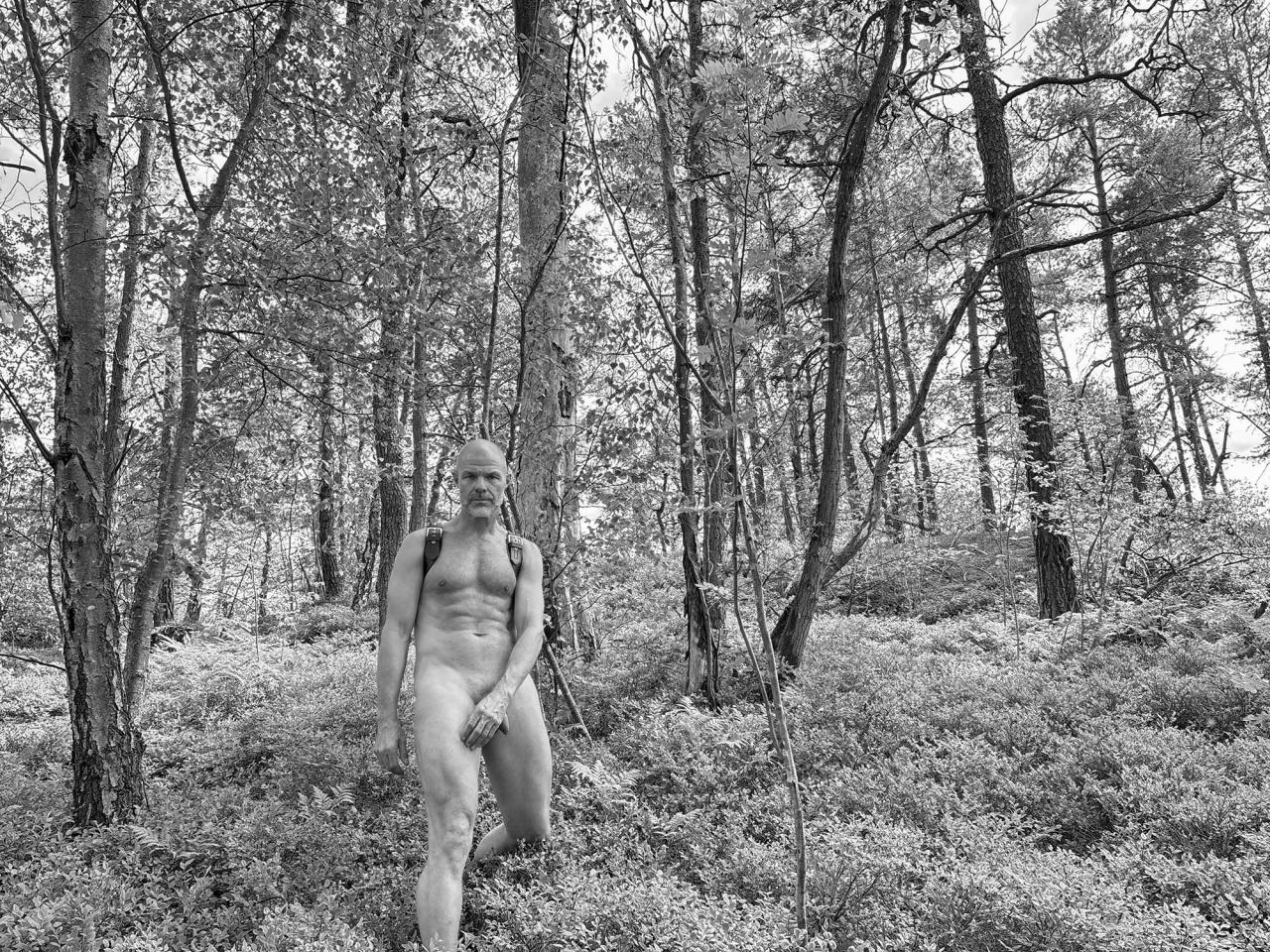 Anders Frisk from Stockholm — nude & free