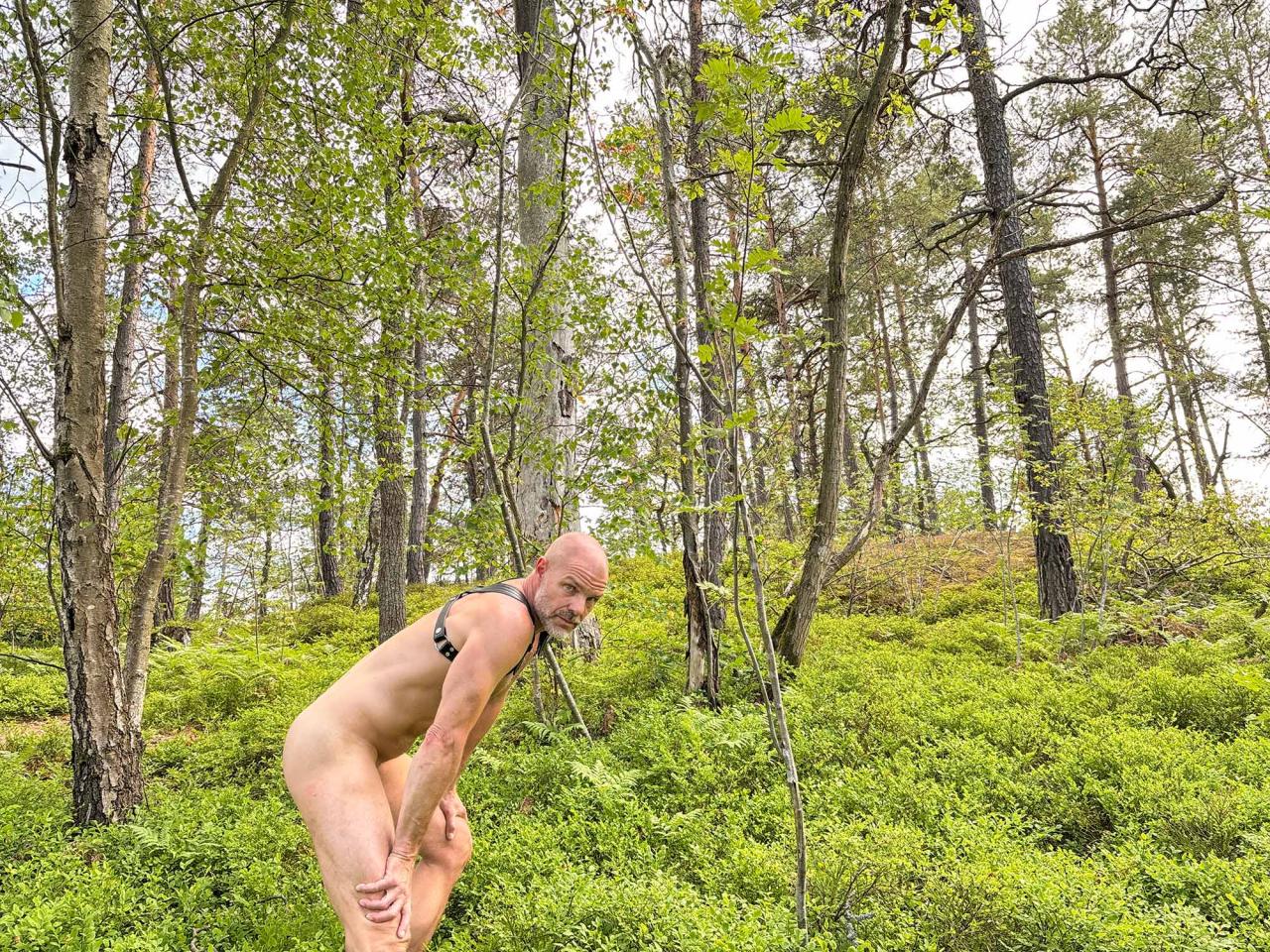 Anders Frisk from Stockholm — nude & free