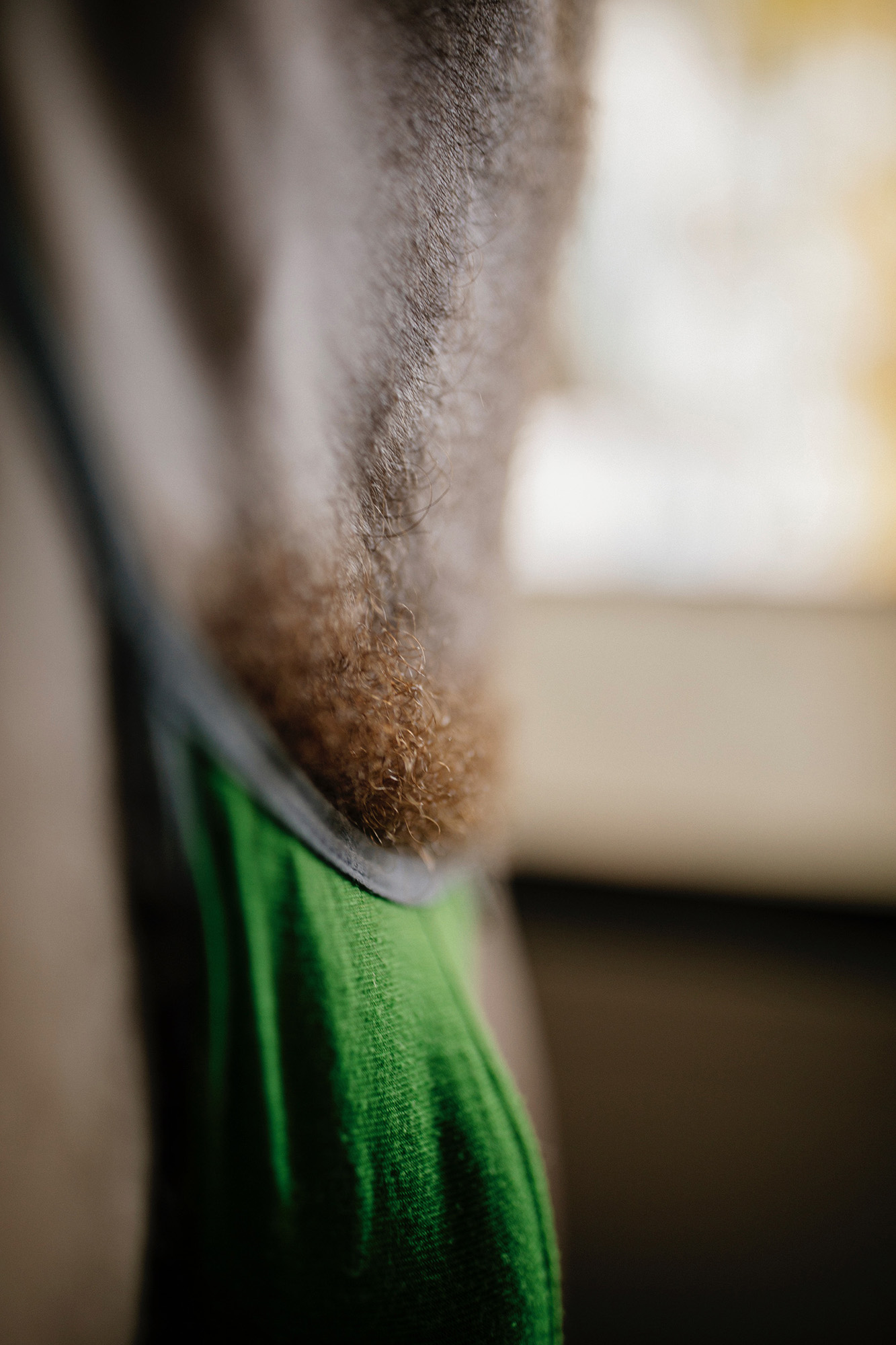 Dan: When Male Body Hair Becomes Art