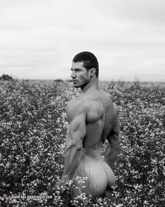 Dmitry Averyanov: Near Perfection