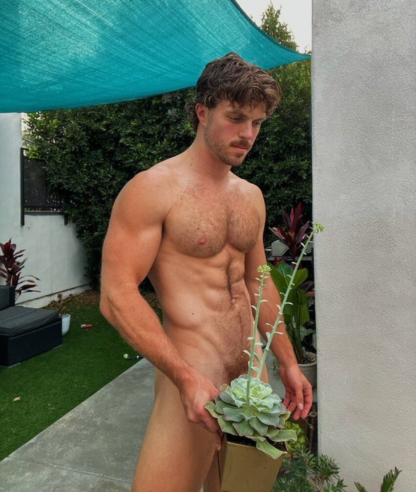 Hairy Stallion and Buffed: Mr. Bradford