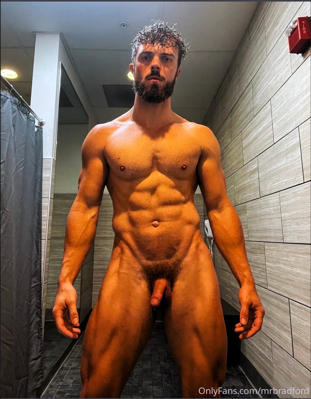 Hairy Stallion and Buffed: Mr. Bradford