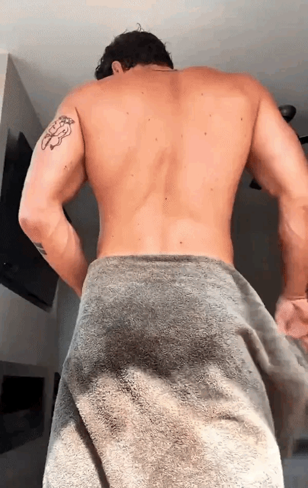 Hairy Stallion and Buffed: Mr. Bradford