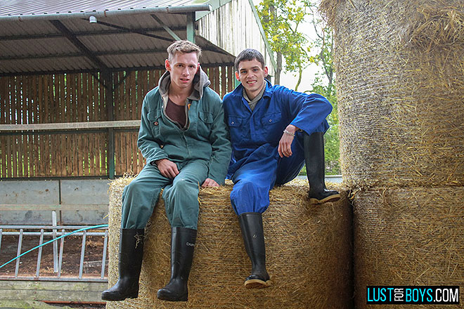 Hard Working Boy On The Farm