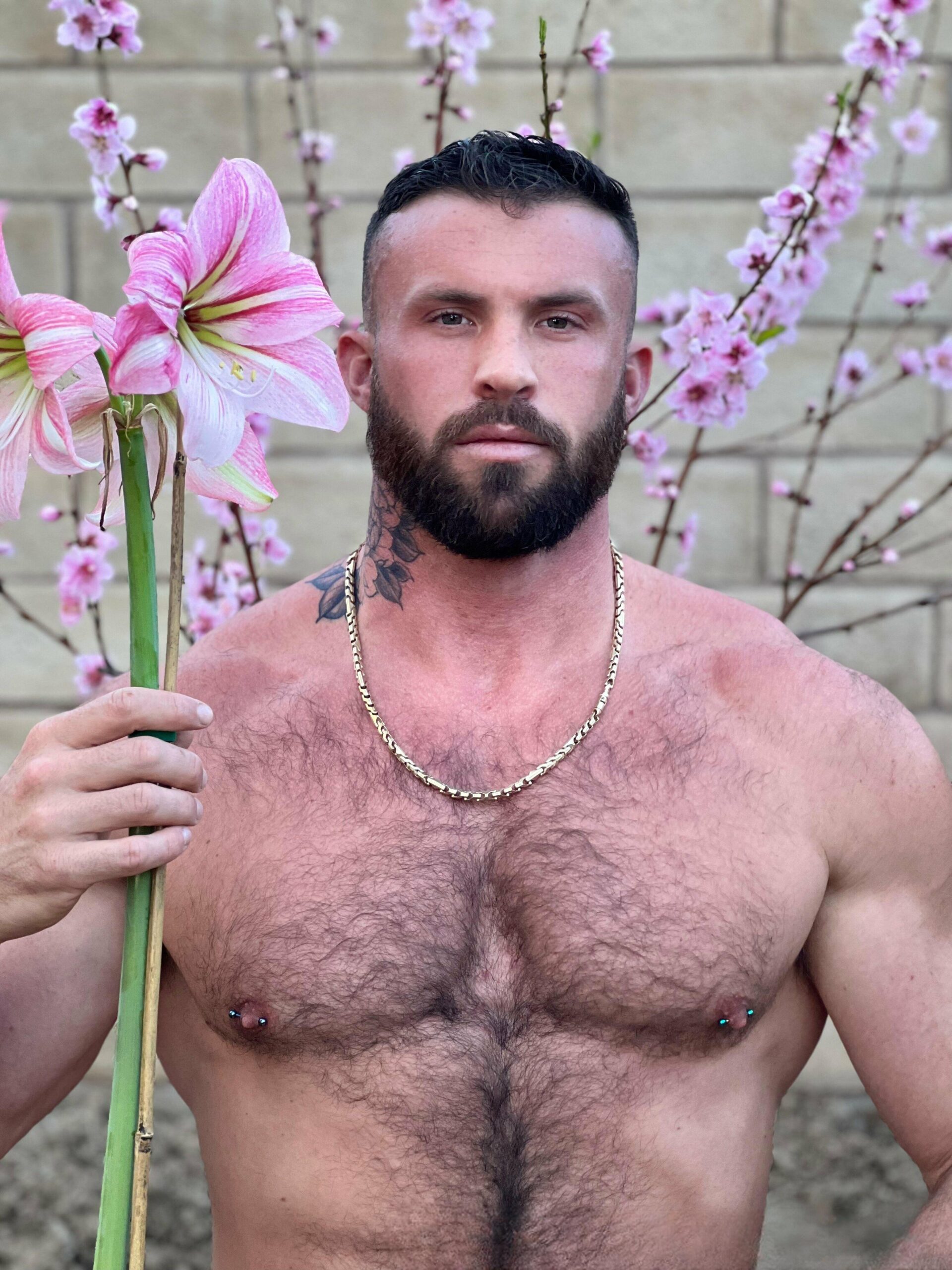 HugeAjax, the muscle beast with a donkey dick