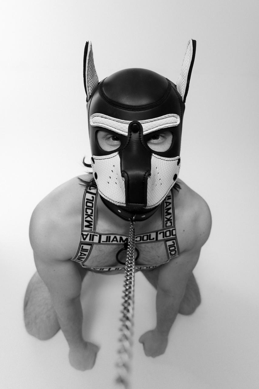 Omnis, the twink in puppy mask and harness