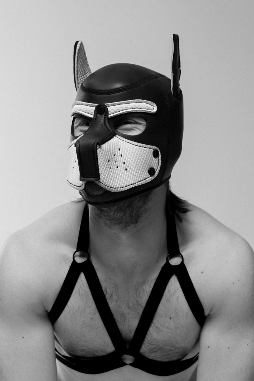 Omnis, the twink in puppy mask and harness