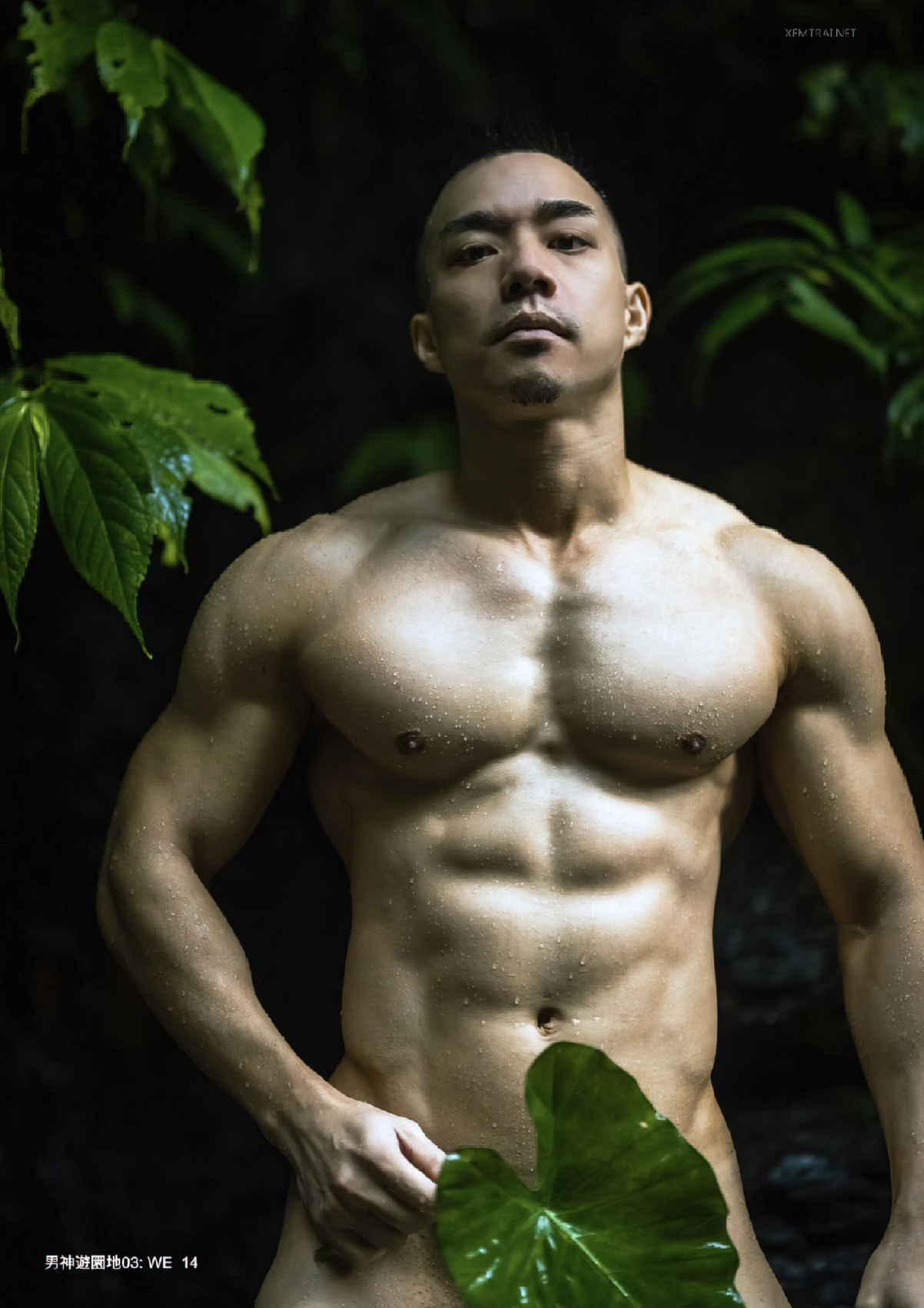 We, Asian model