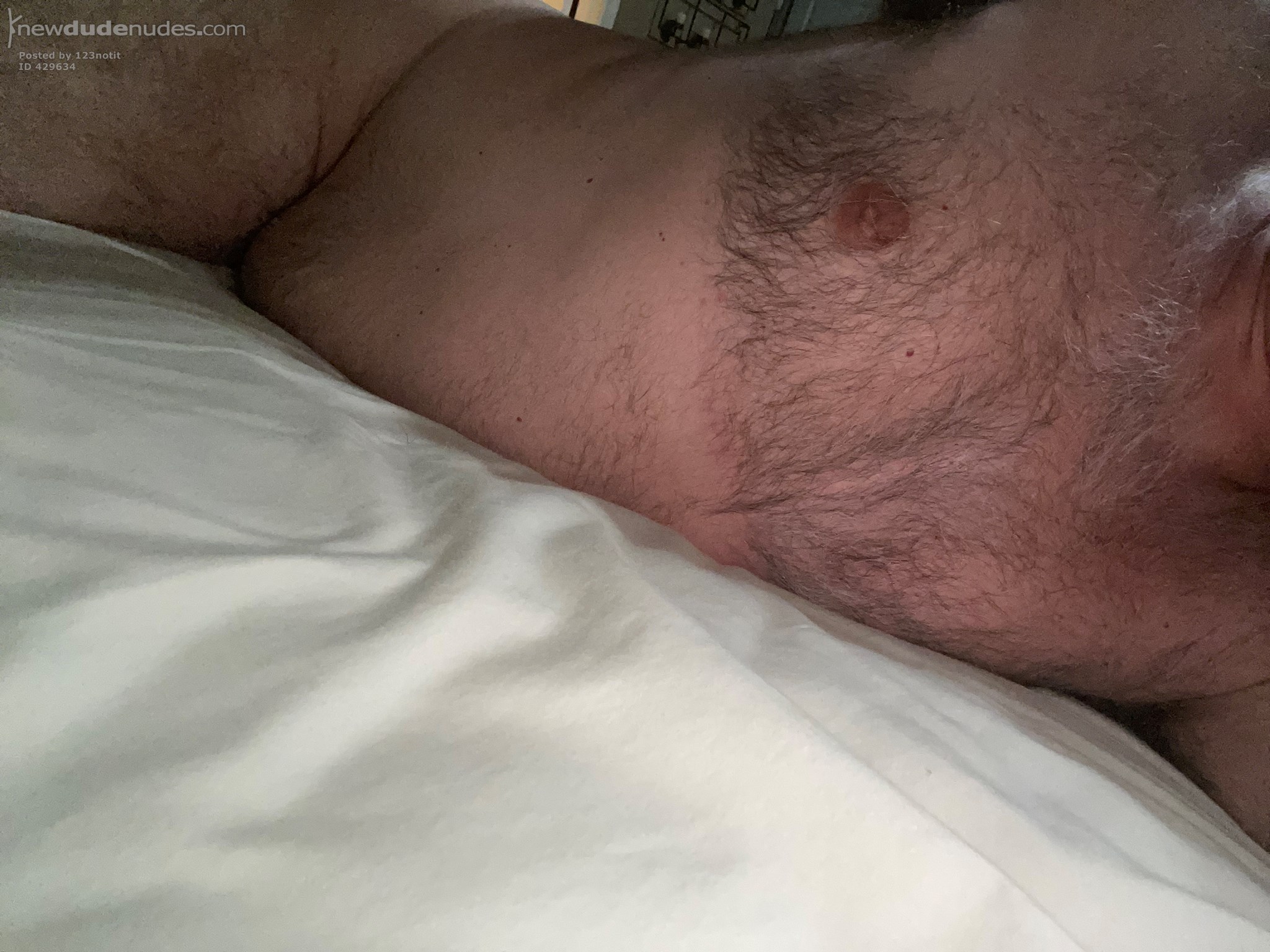 123notit photo #11