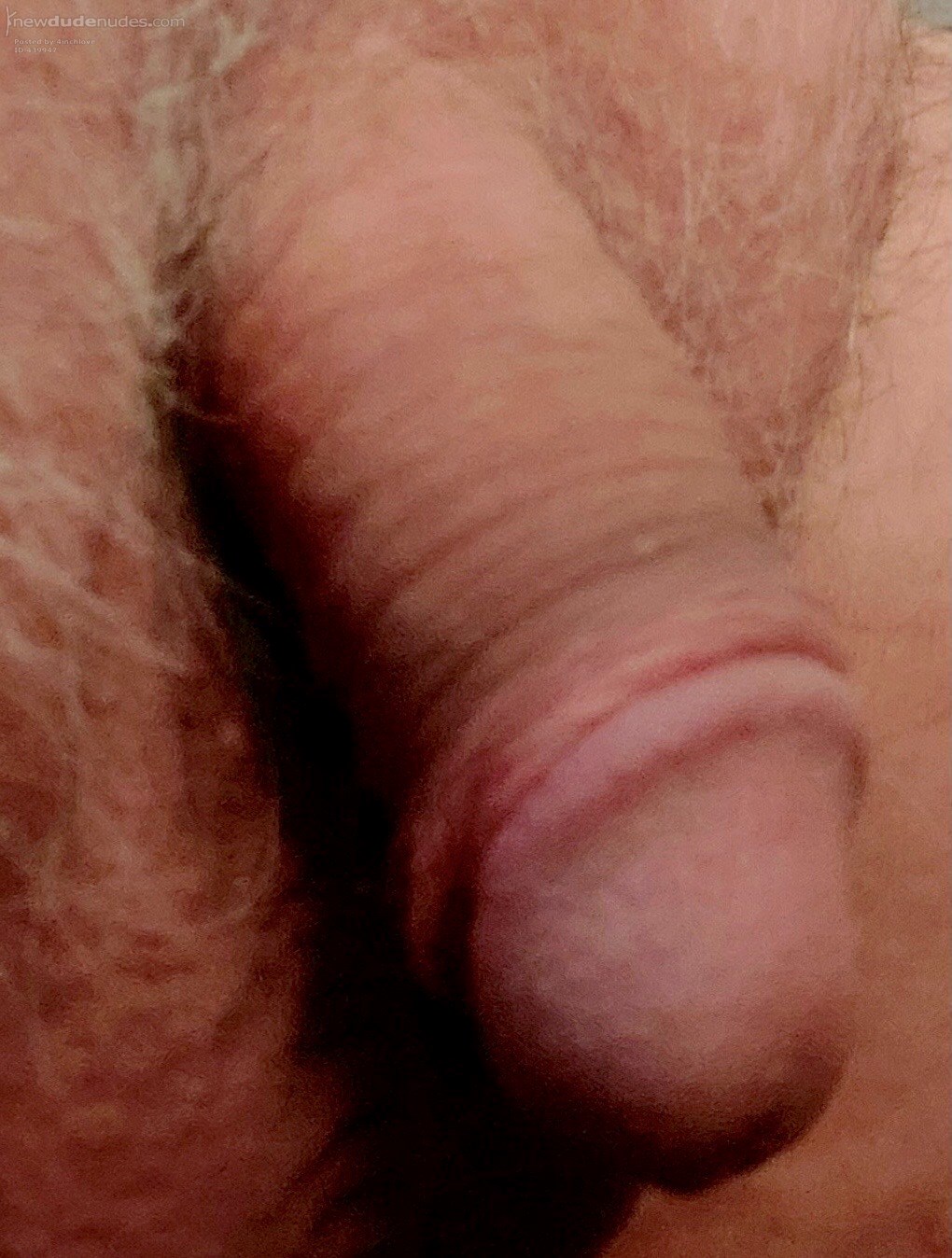 At rest..