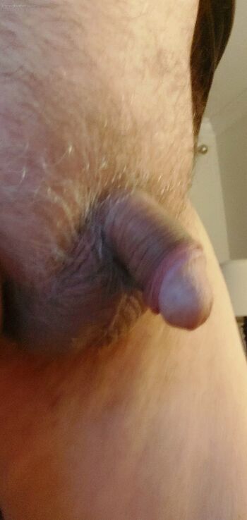 Before bed …