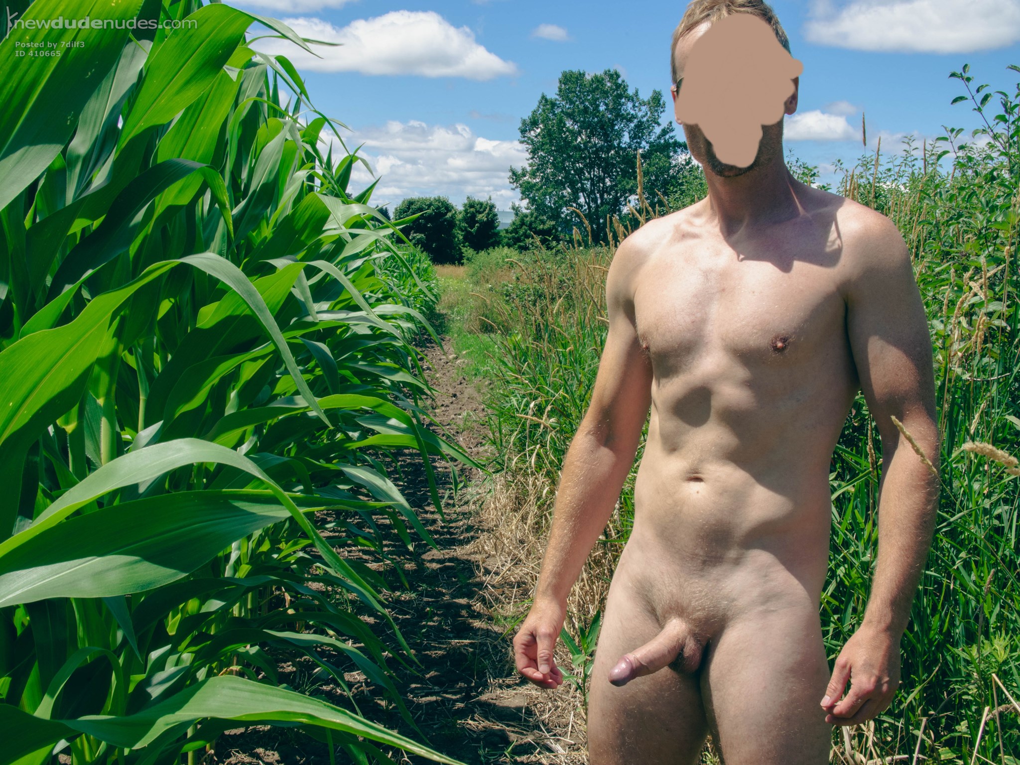 In the cornfield