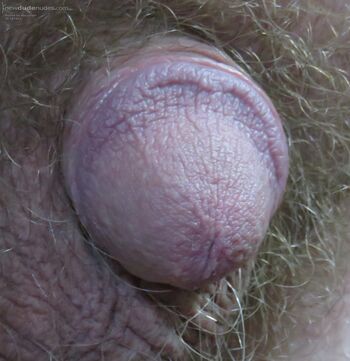 Close up of the little feller.