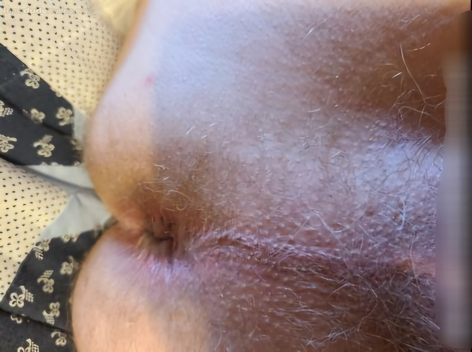 Tongue fuck me