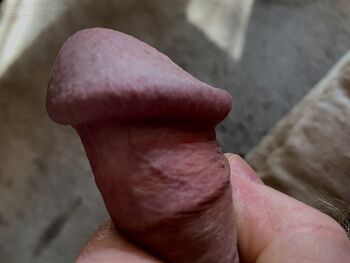 advntr photo #44
