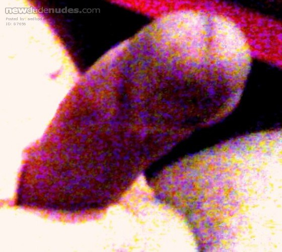 aedbpdx photo #8