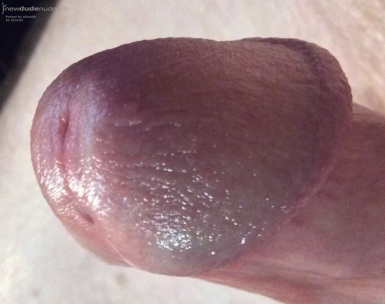 aGoodBi photo #2