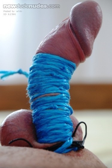 tied cock