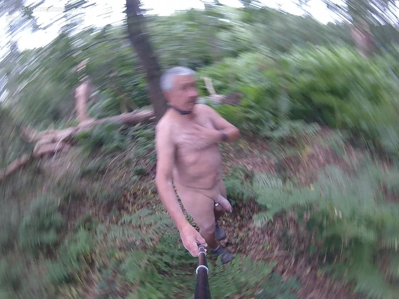 Out & About In the Woods