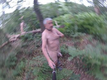 Out & About In the Woods