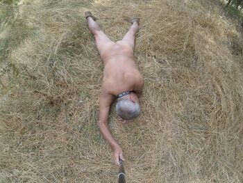 A Lay down in the woods ( Hopping )