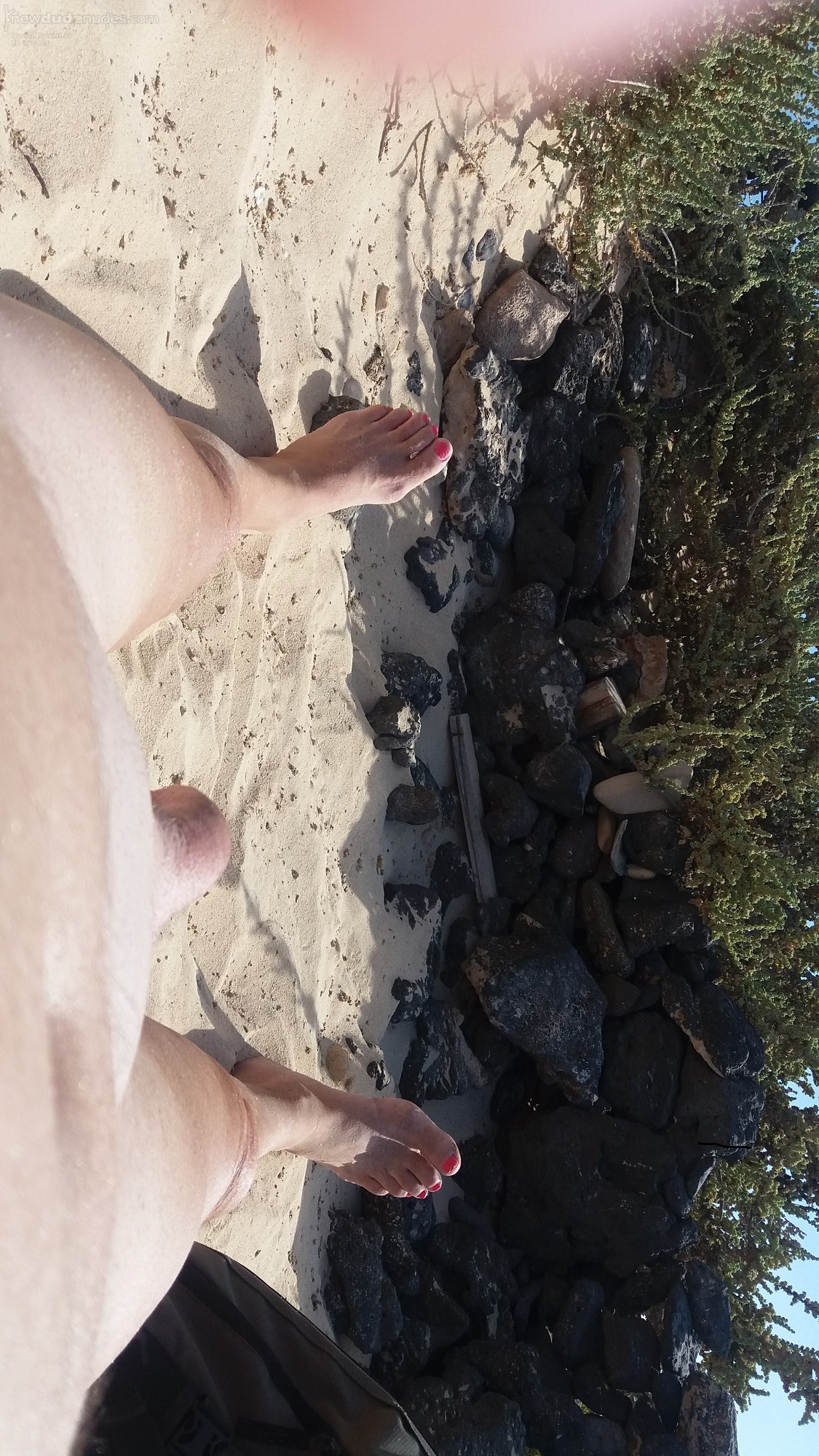 in the dunes of Corralejo