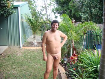in my backyard