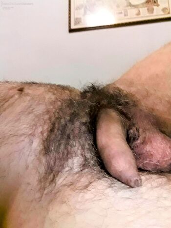 I eant to feel your lips in my dick. Quiero sentir tus labios en mi polla.