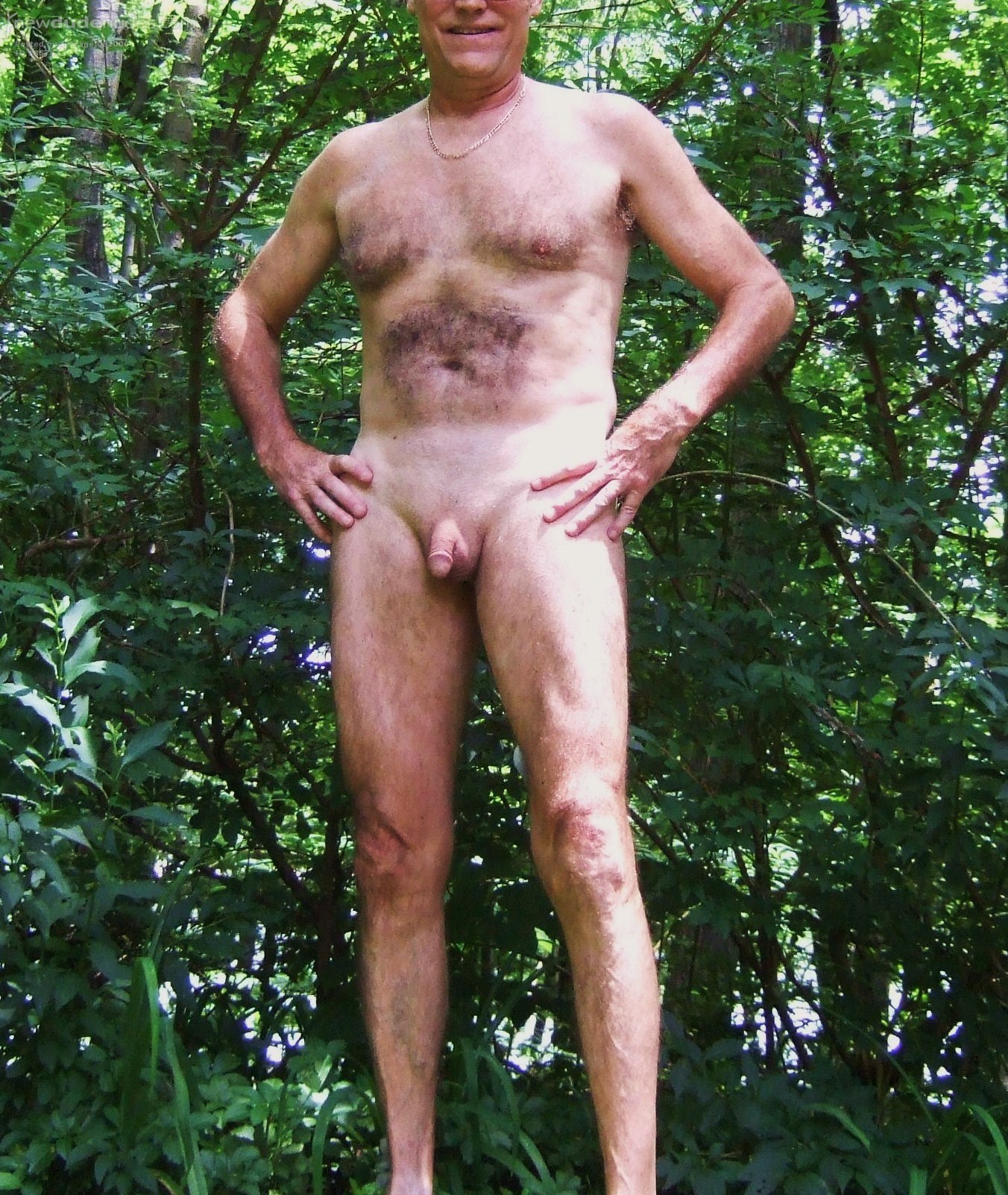 July 2 nd hike in the woods