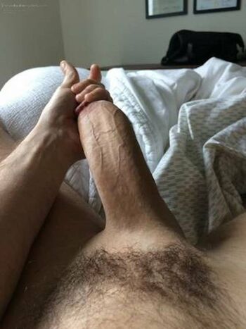 cocks I have sucked off