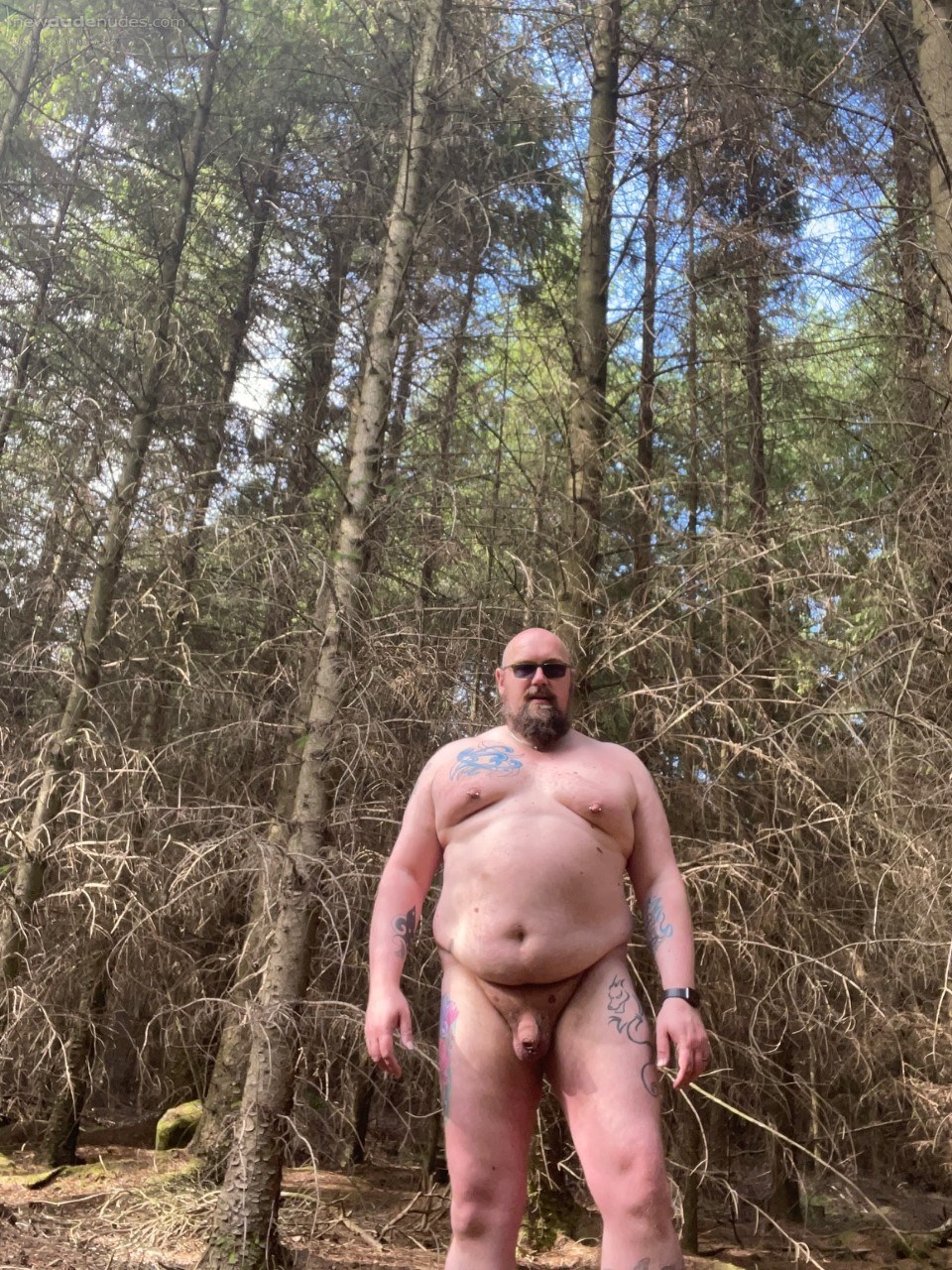 ,wander in the woods