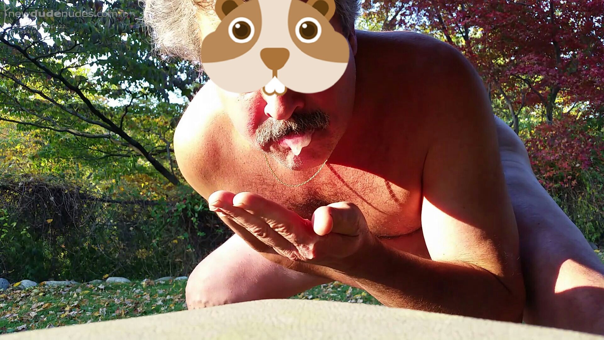 I love being totally naked and hard outside, slurping up a load!