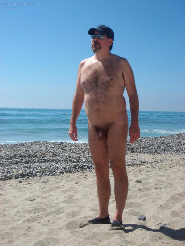 Bear on the Beach