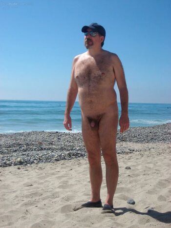 Bear on the Beach
