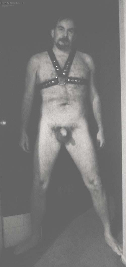 Full Frontal with leather harness