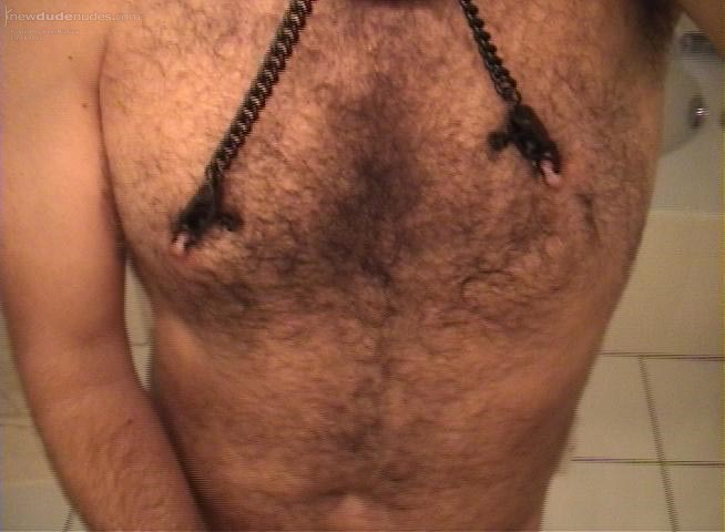 Nipple clamped closeup of my hairy chest