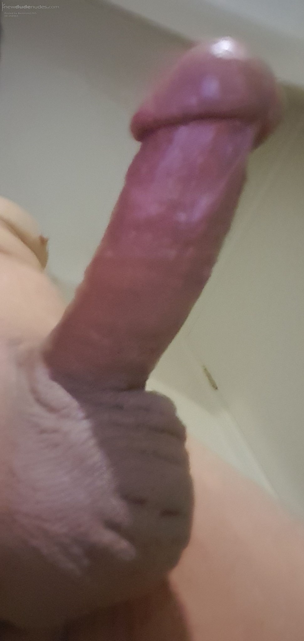 And my cut, shaved, long, hard dick wants your shaved, tight asshole