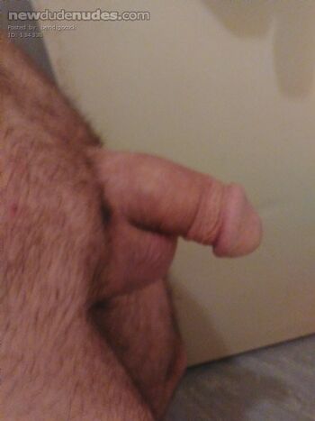bendigocock