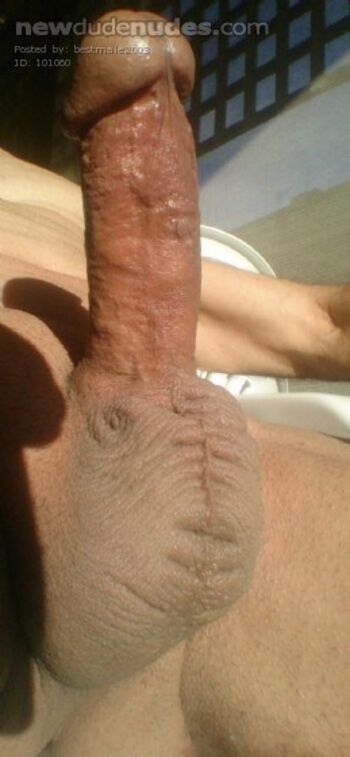 You're shaved, clean, fit, have a nice looking dick and tight ass? Love your dick in my tight ass and my dick in your ass!Message me.