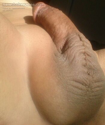 You are fit, D&D free, have a nice dick and tight ass, all shaved? I love your dick in my mouth/ass and my dick in your mouth/ass.