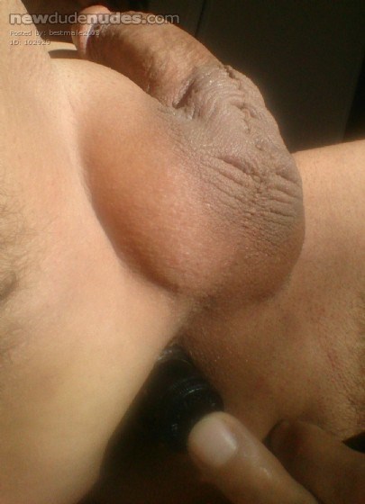 You are fit, D&D free, have a nice dick and tight ass, all shaved? I love your dick in my mouth/ass and my dick in your mouth/ass.