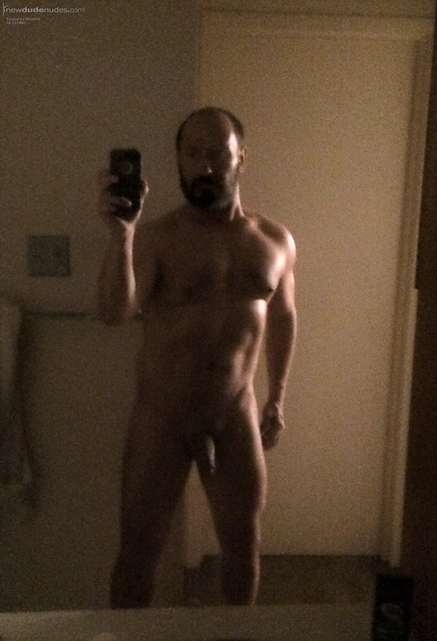 BG1641 photo #32