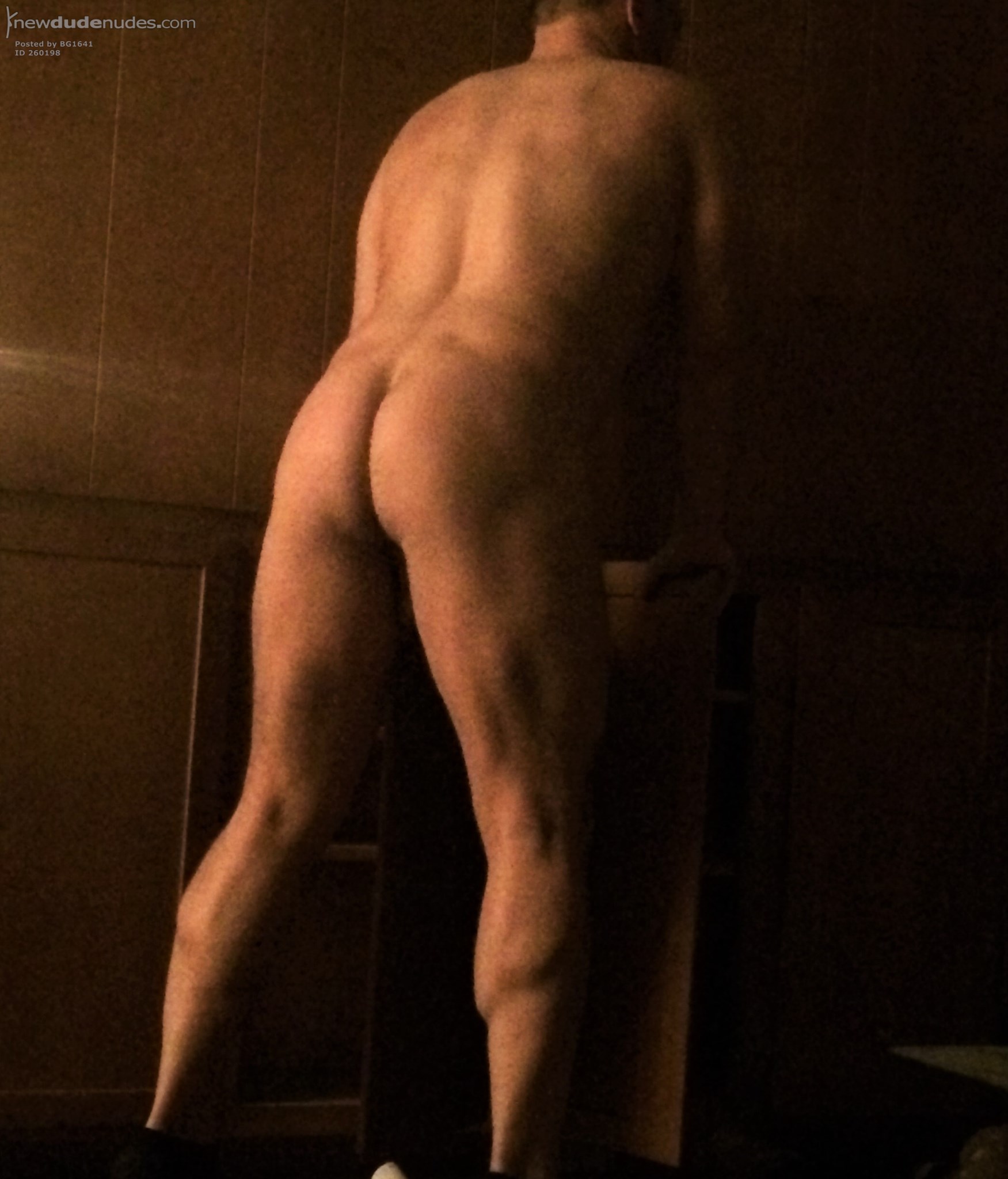 BG1641 photo #64