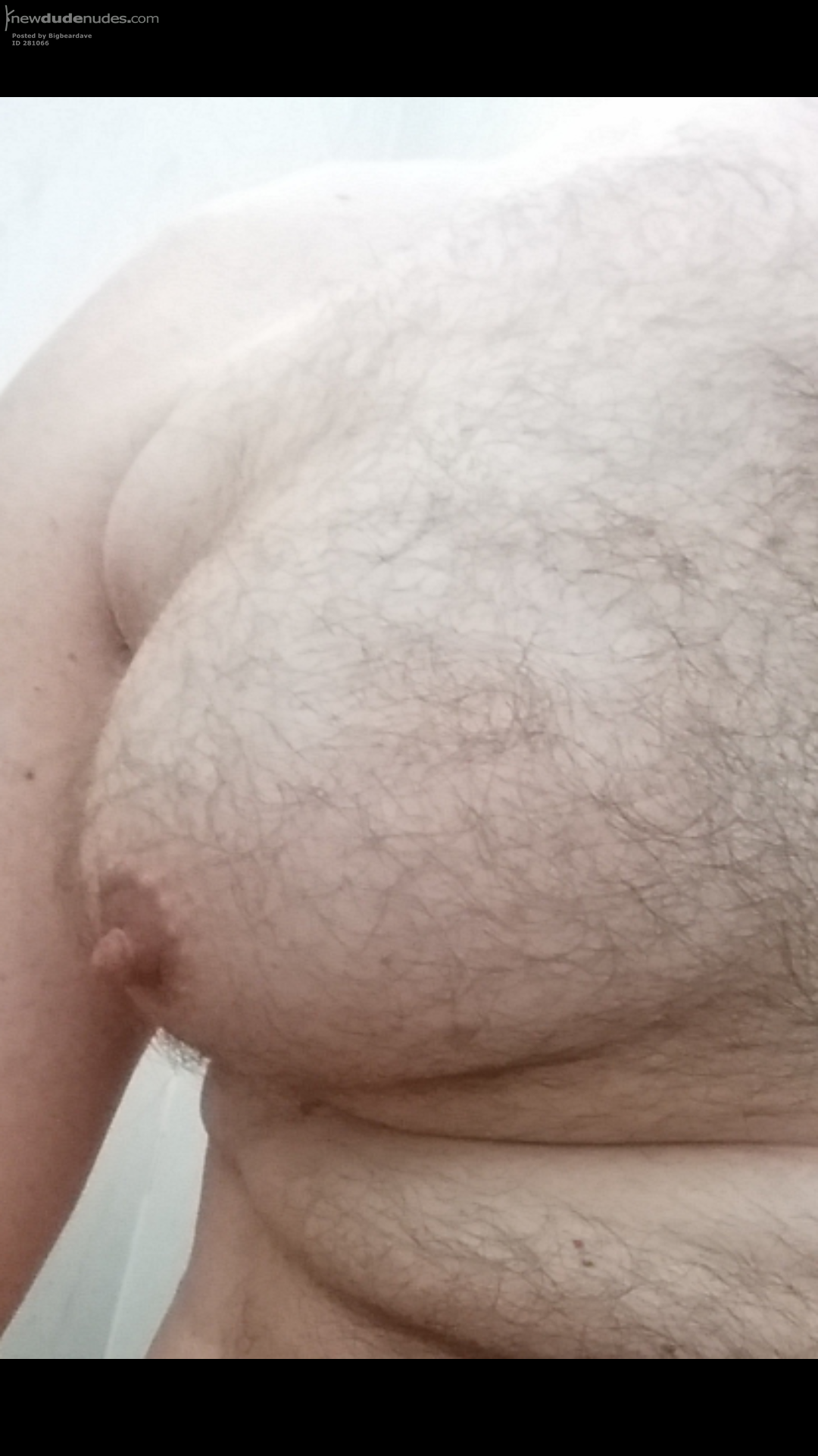 Hairy tit