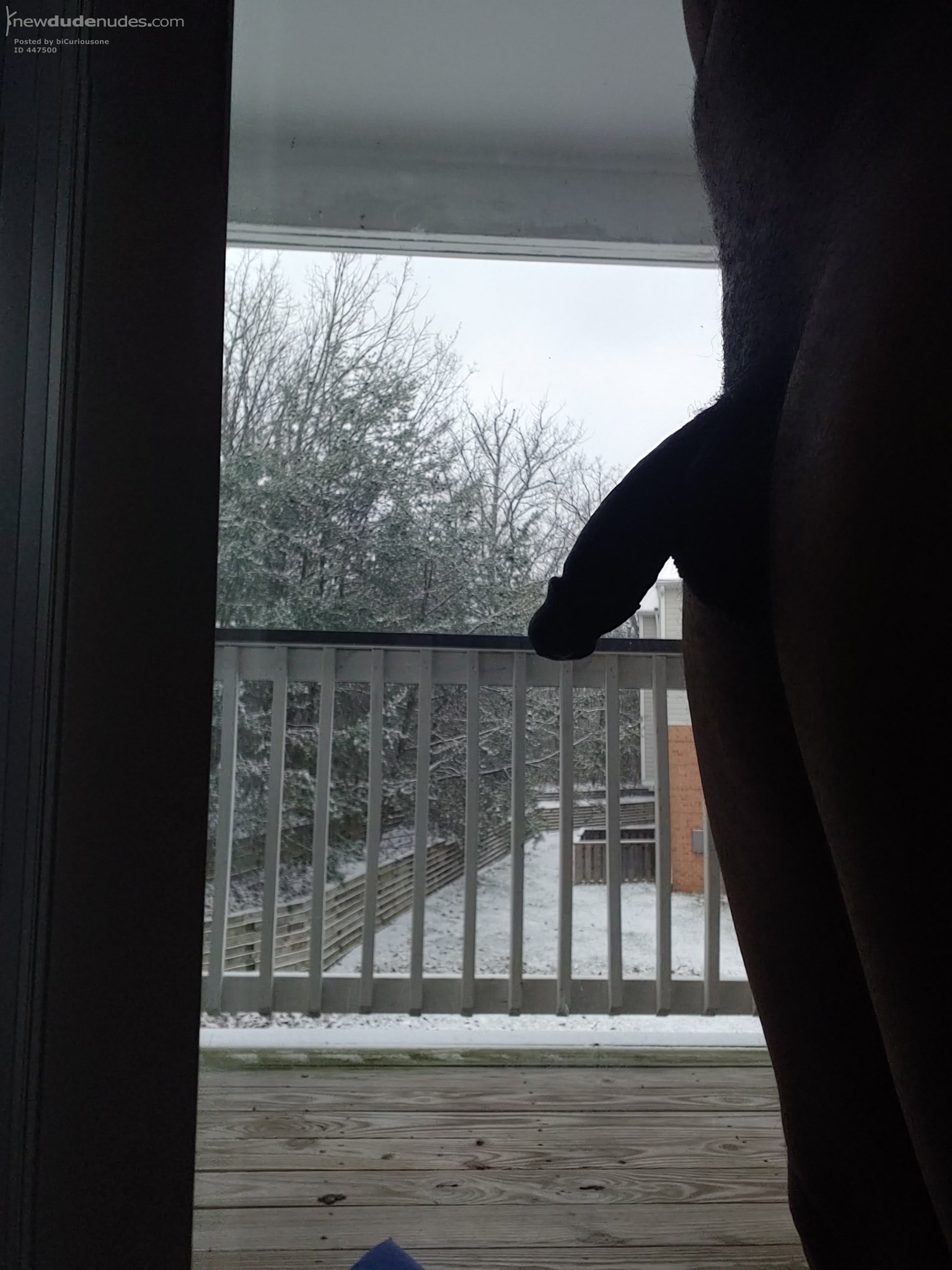 Snow day!!