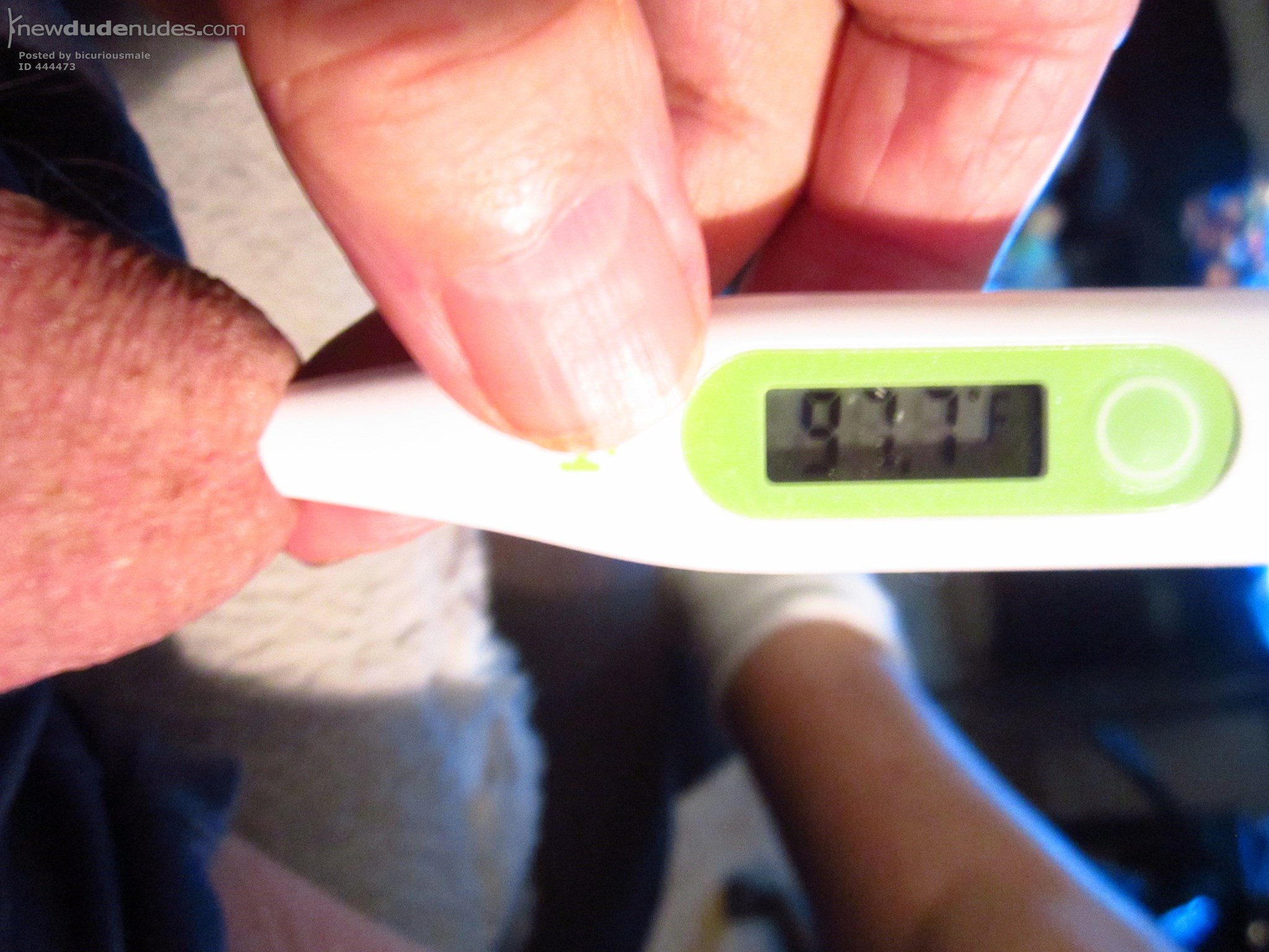 My pee hole temp.