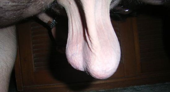 My Bullsack ...