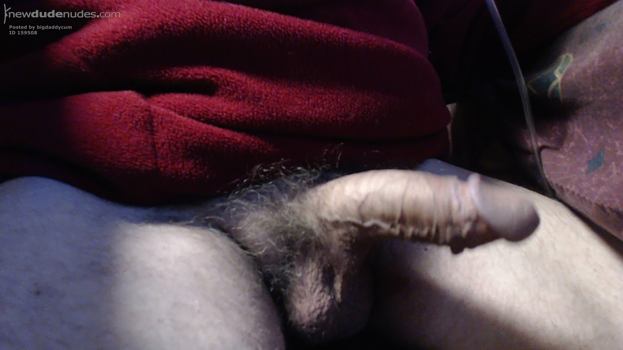 cock out