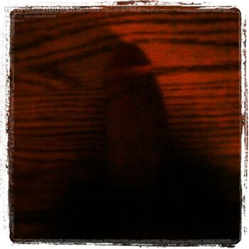 bigdickdaddy1169 photo #4